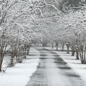 Meet your Posher, Carrie